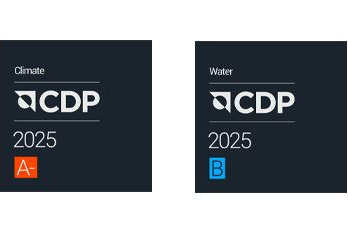 Image-CDP