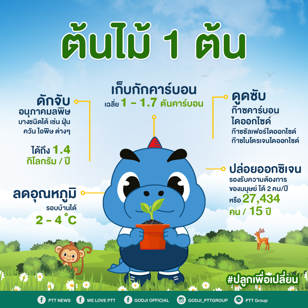 ต้นไม้ 1 ต้น... ช่วยโลกได้