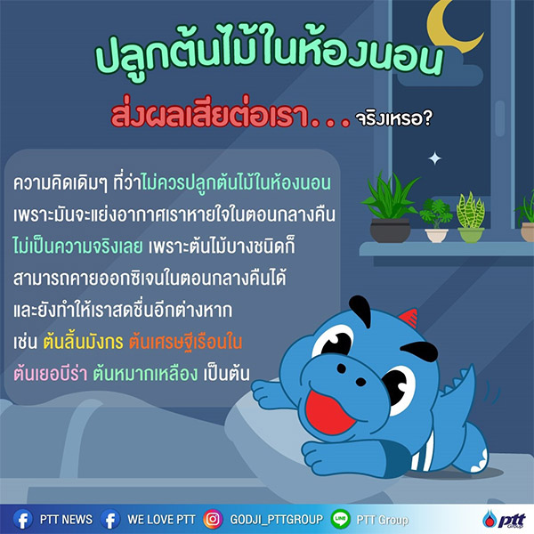 ปลูกต้นไม้ในห้องนอนส่งผลเสียต่อเรา จริงหรือ?